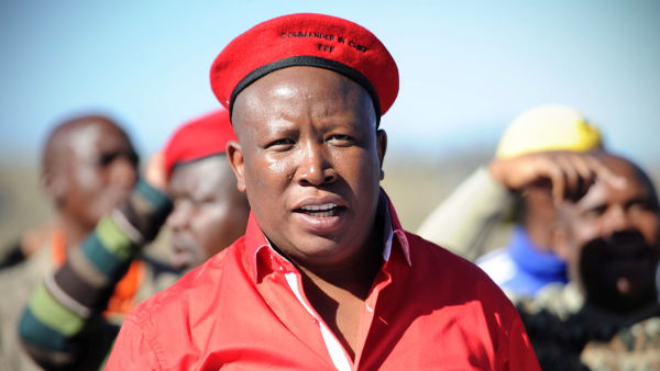 julius malema femmes