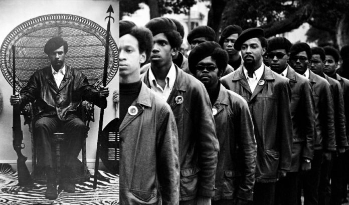 black panthers